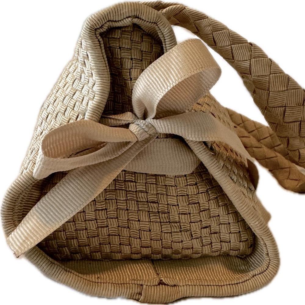 The Sak purse